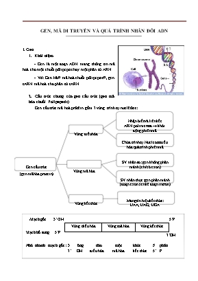 Tổng hợp các lý thuyết Sinh học lớp 12